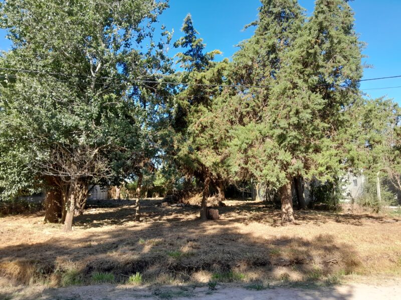 Lote en Venta - Barrio Santa Rita - Brandsen