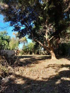 Lote en Venta - Barrio Santa Rita - Brandsen