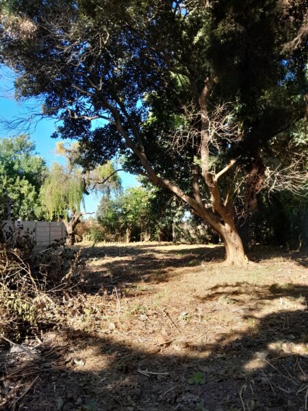 Lote en Venta - Barrio Santa Rita - Brandsen