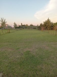 Lote en Venta - Domselaar Chico