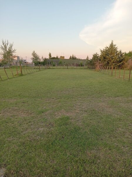 Lote en Venta - Domselaar Chico